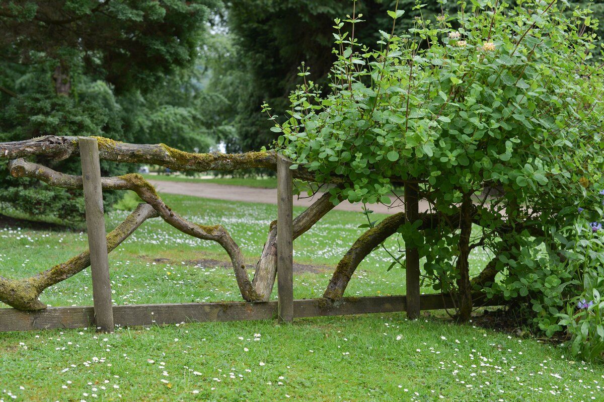 Adverse possession boundary drawings