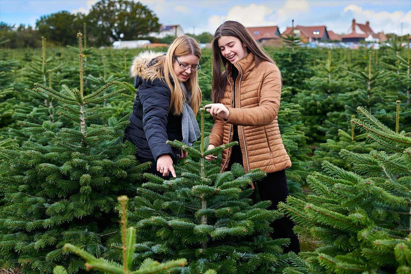 Two women are looking at a christmas tree in a field.