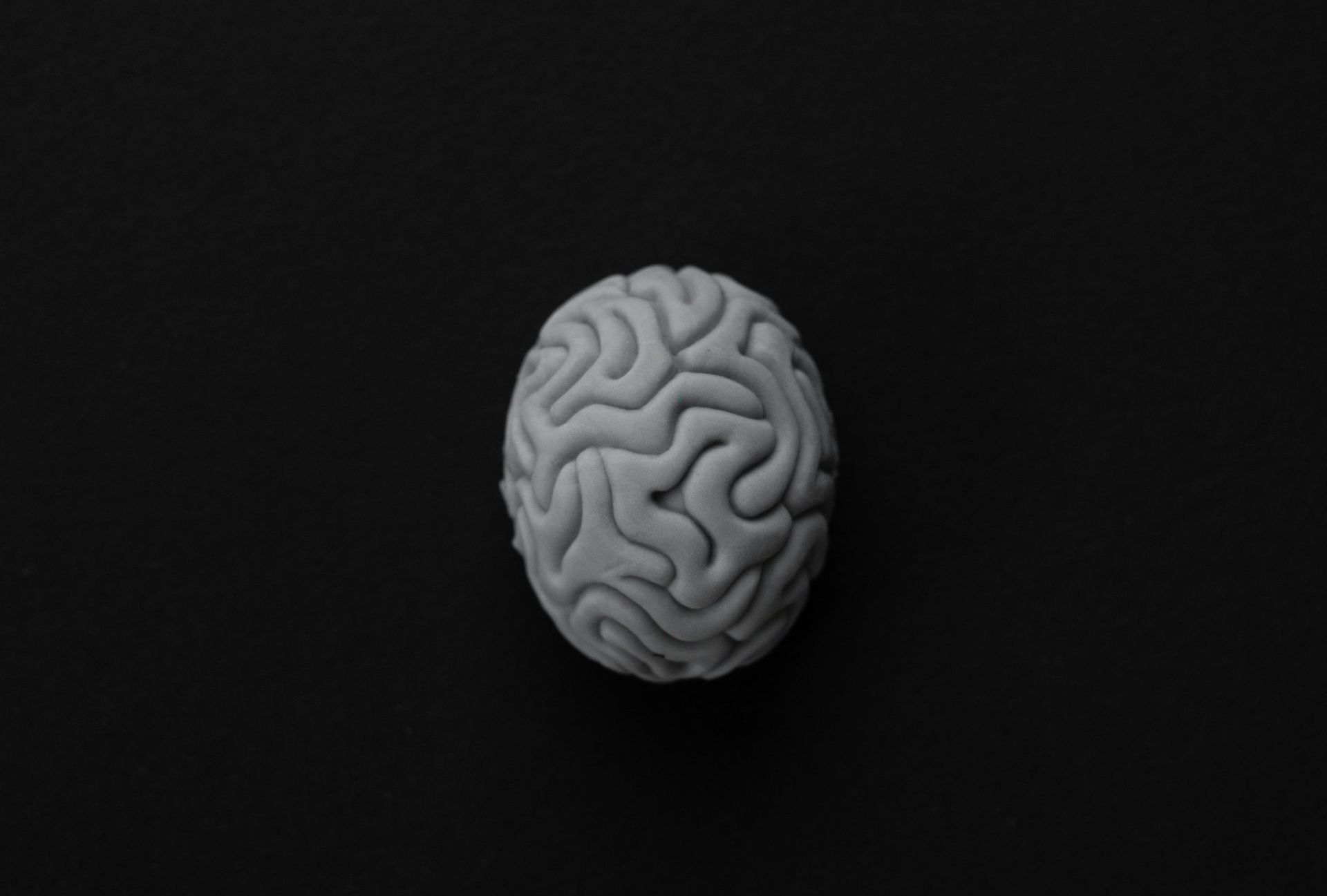 A 3d model of a human brain on a black background.