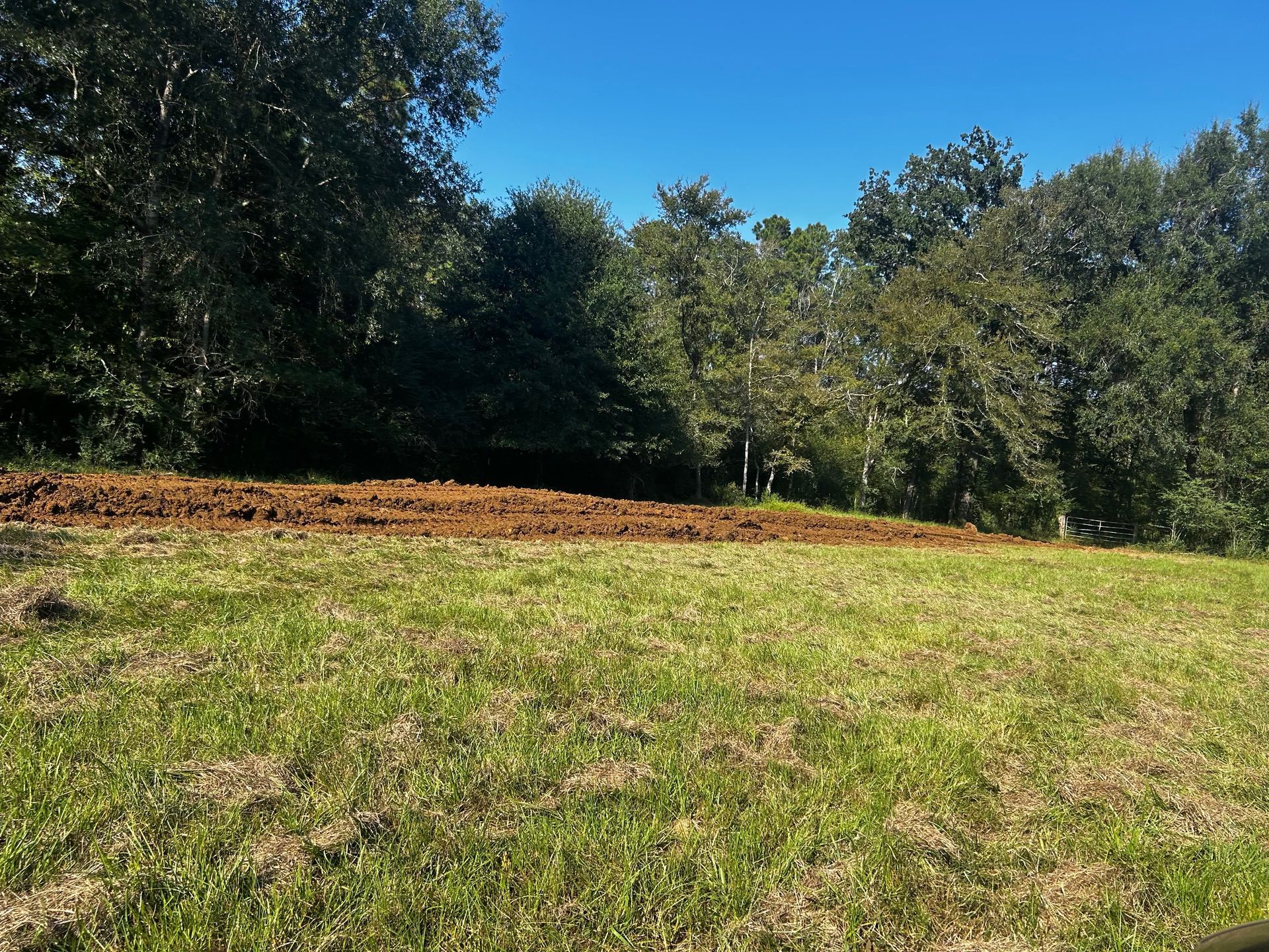 Grassy hillside with trees and a brown dirt strip under a clear blue sky