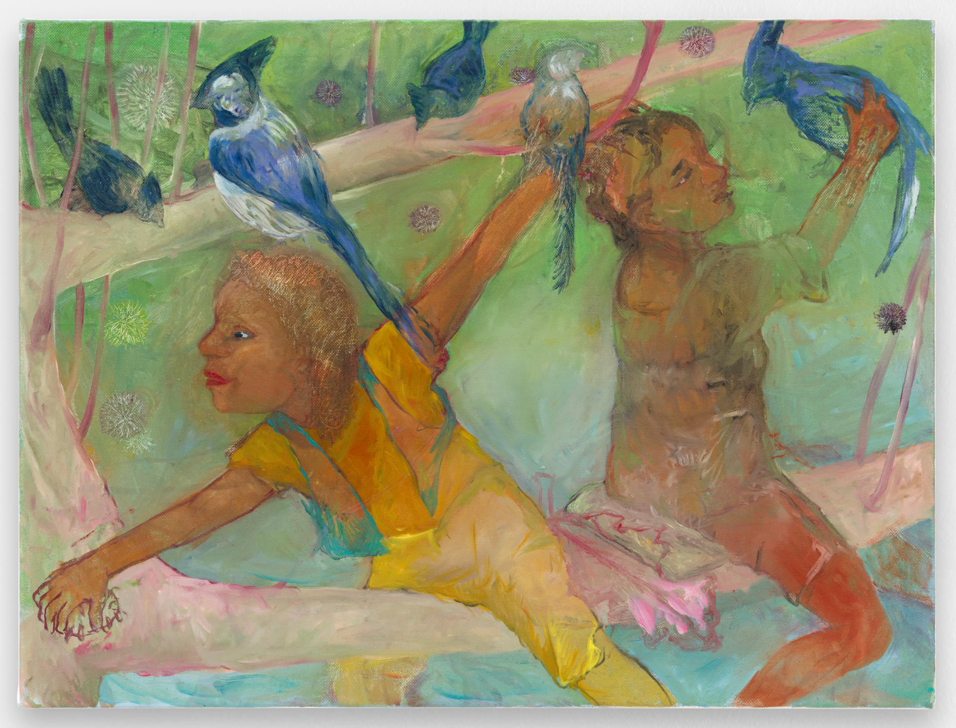 blue jays, pink and brown limb Philemona Williamson