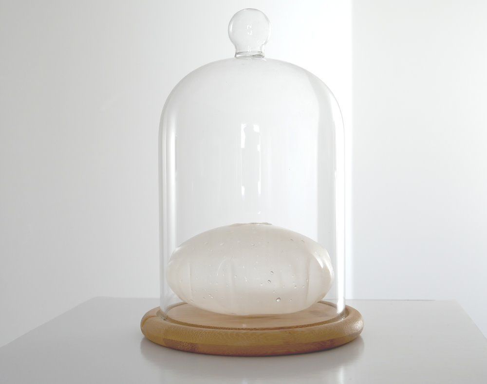 Breast implant conserved in bell jar by Lala Drona