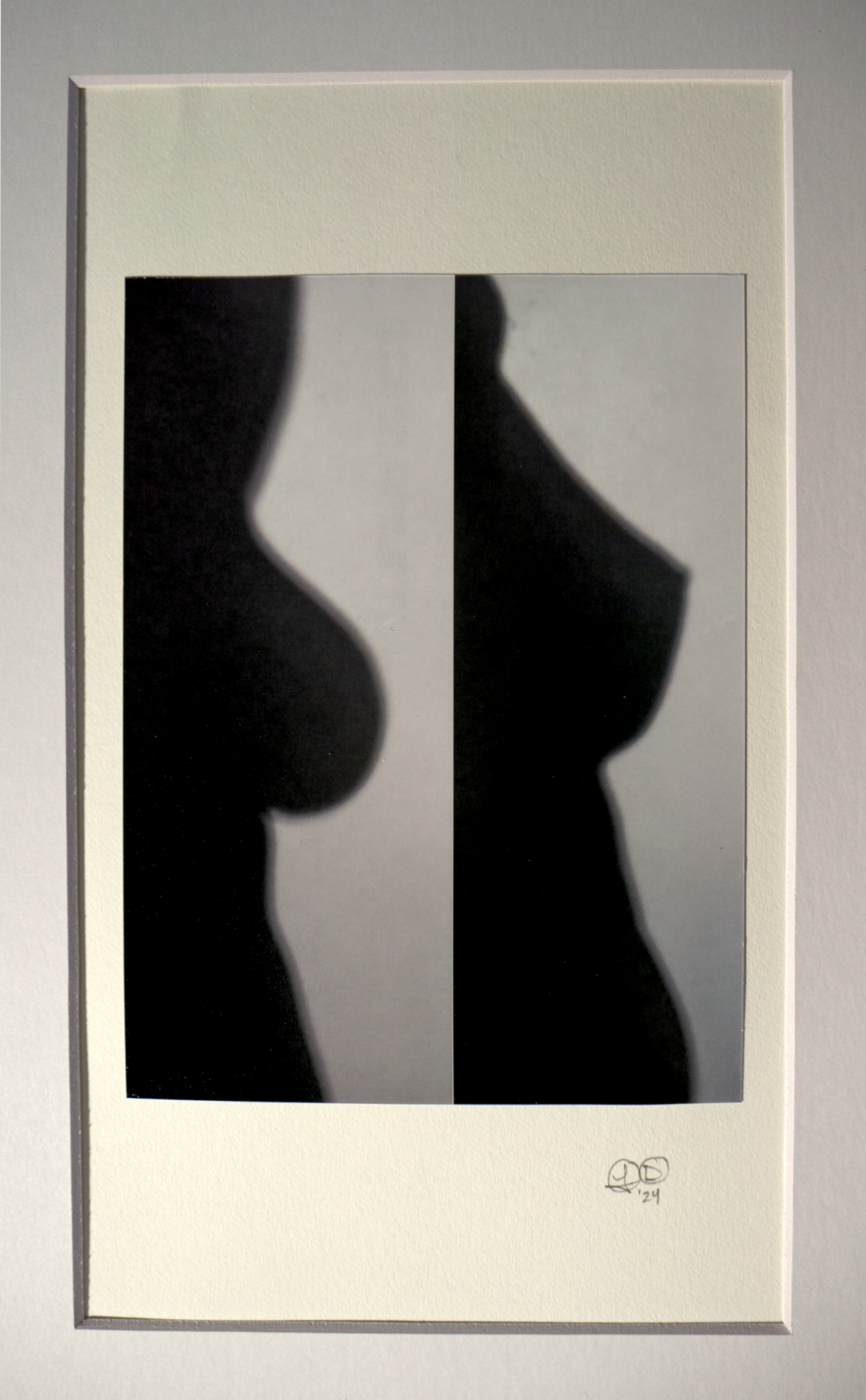 Photocollage of each side of chest by Lala Drona
