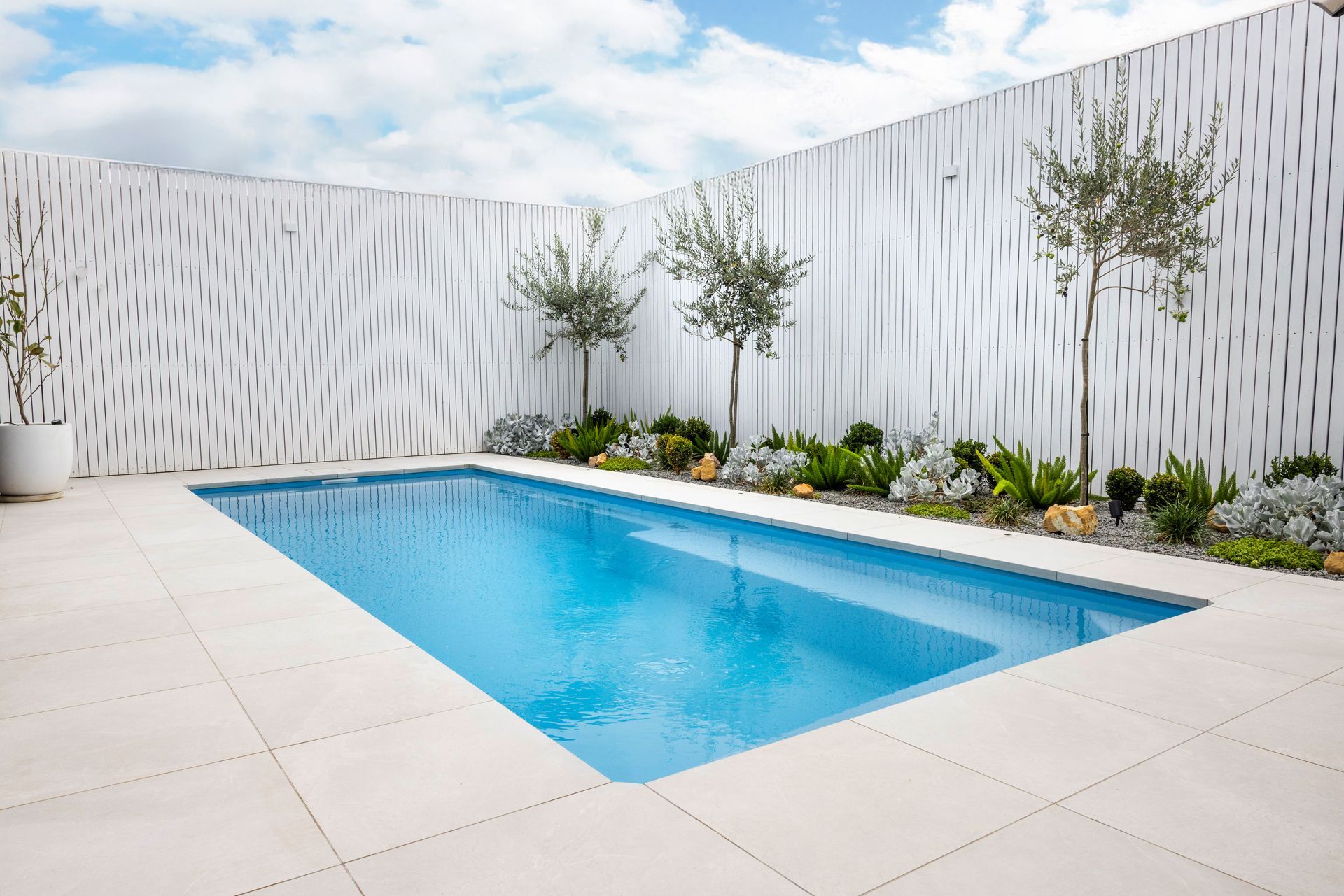 Small rectangular swimming pool in a white-walled backyard with trees and plants.
