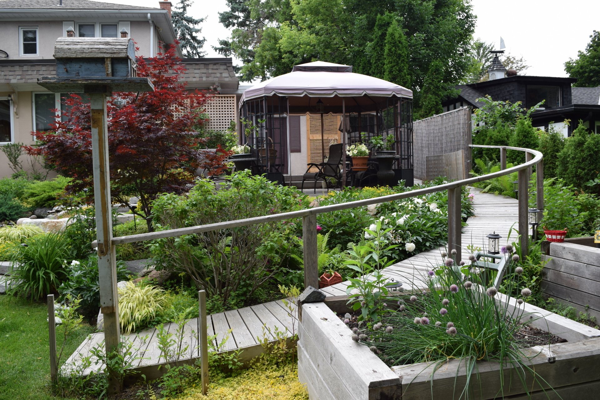 Backyard Transformation | PARKLANE LANDSCAPES