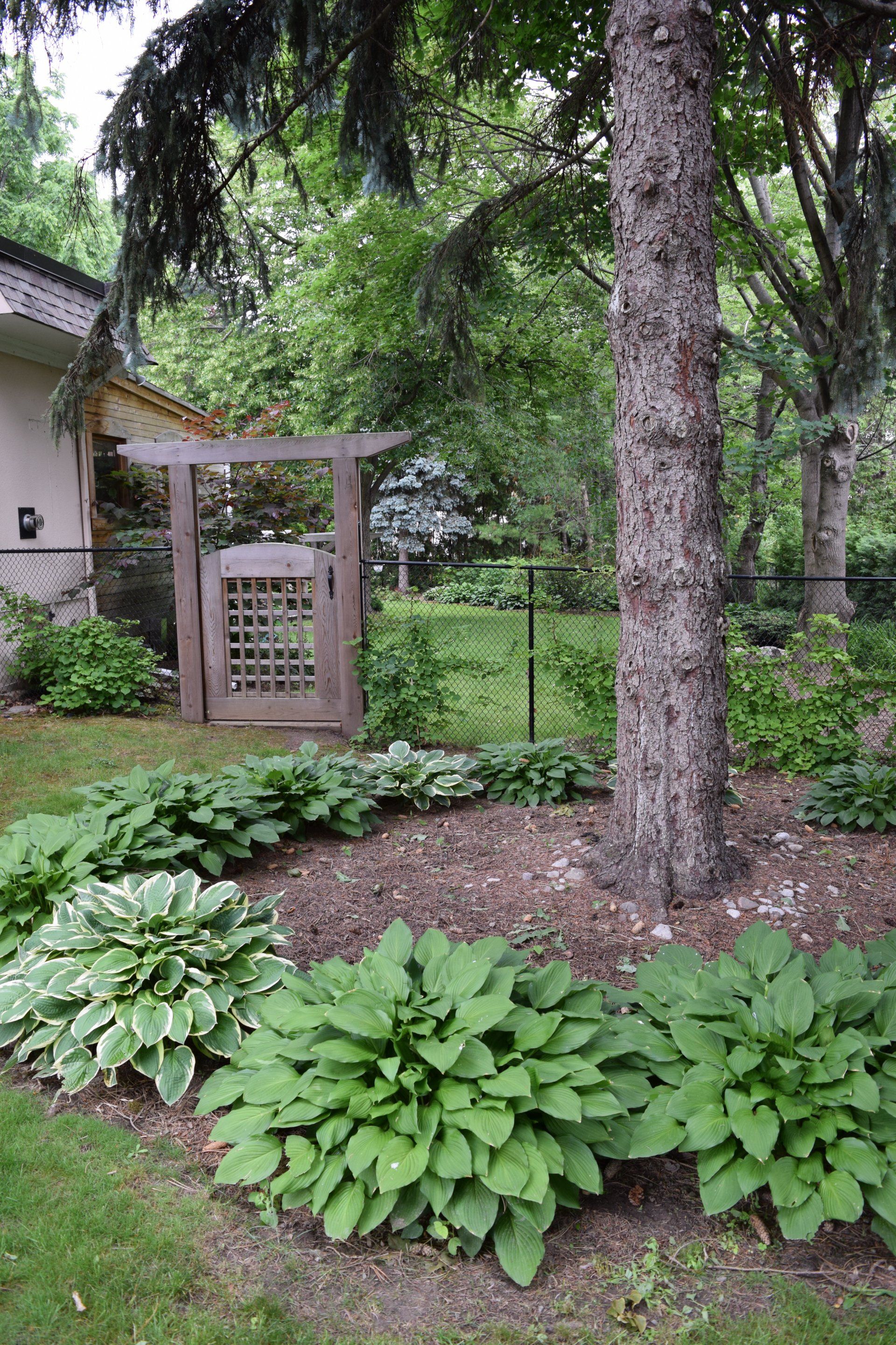 Arbor Construction, Garden Arbor, Wooden Arbor, Arbor Trellis, Outdoor Arbor, Arbor Installation, Custom Arbor, Pergola Arbor, Arbor Styles