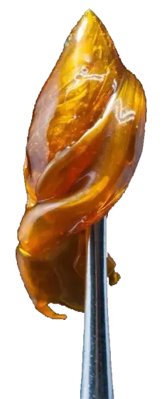 Amber, leaf-shaped carved pendant on a metal tool against a white background