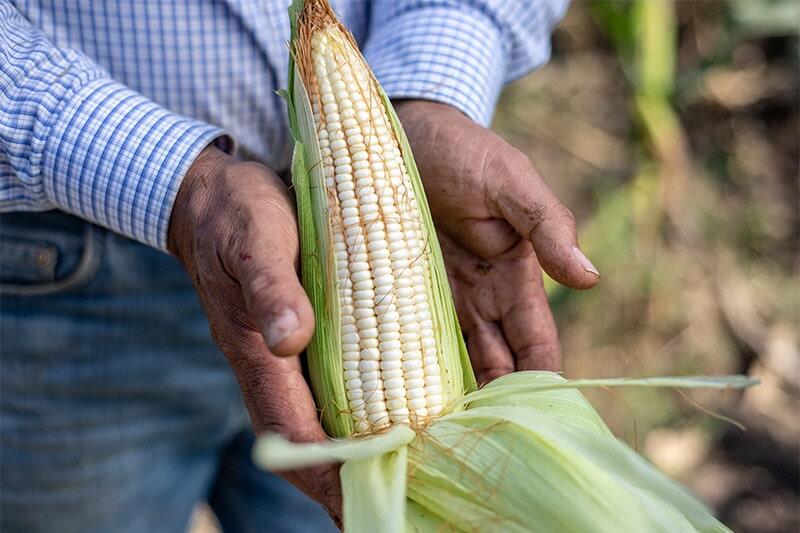 FERTISQUISA - FERTILIZANTES GRANULADOS