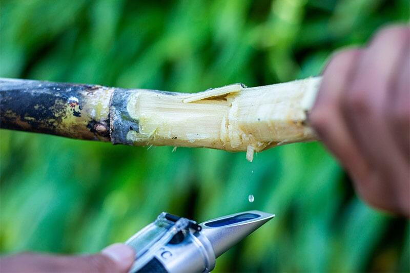 FERTISQUISA - MEZCLAS FÍSICAS