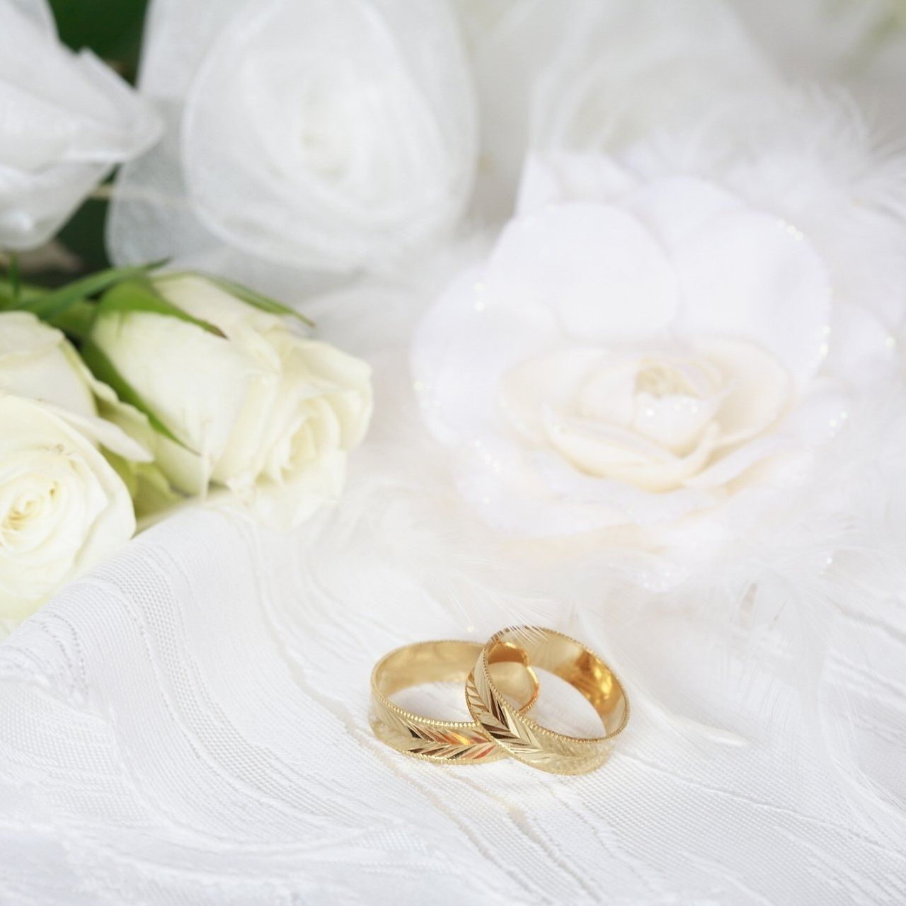 CASTEL TRAITEUR | PHOTO ALLIANCES
