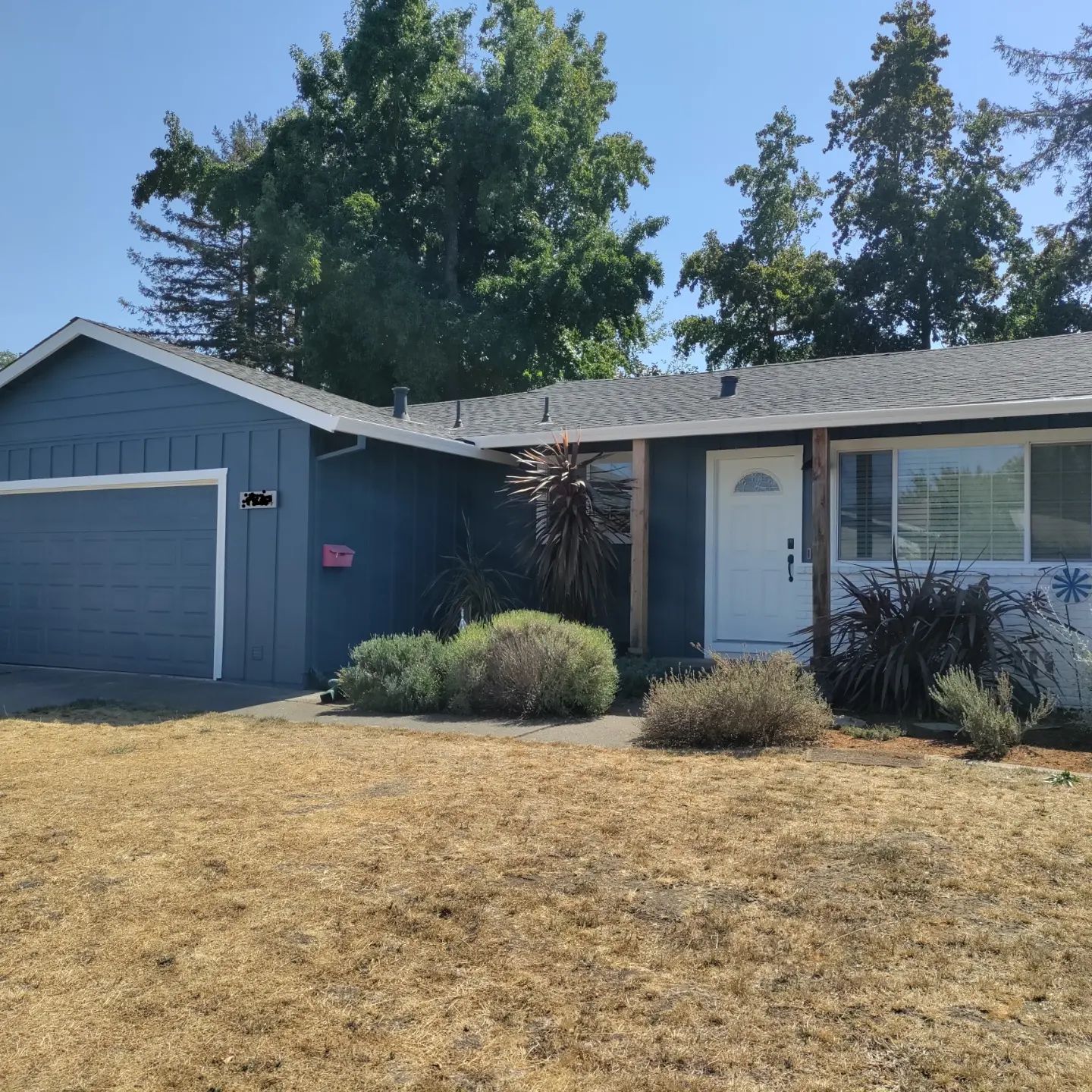 Sonoma County CA, Santa Rosa CA, Proctor Terrace Santa Rosa CA, Skyhawk Community Santa Rosa CA, Jr College Neighborhood Association Santa Rosa CA, Roseland CA, Bodega Bay CA, Graton CA, Rohnert Park CA, Petaluma CA, Novato CA, Santa Venetia CA, San Rafael CA, Mill Valley CA, Ukiah CA, Cloverdale CA, Napa County CA, Sonoma CA, Napa CA, St Helena CA, Painting Contractor, Painter Near Me, Painting Company, Painting Company Near Me, Interior Painting, Exterior Painting, Wood Fence Painting, Wood Fence Staining, Deck Staining, Cabinet Painting, Cabinet Staining, Commercial Painting, Commercial Painting Contractor,Commercial Painting Company, Commercial Painter Near Me, Commercial Interior Painting, Commercial Exterior Painting, Office Interior Painting, Office Exterior Painting, Hotel Interior Painting, Hotel Exterior Painting, Restaurant Interior Painting, Restaurant Exterior Painting, Pressure Washing, Pressure Washer Near Me, Pressure Wash House, Exterior House Wash, Pressure Wash Driveway, Driveway Cleaning, Pressure Wash Gutter, Gutter Cleaning, Pressure Wash Patio, Patio Cleaning, Pressure Wash Walkways, Pressure Wash Sidewalks, Pressure Wash Stairs, Roof Wash, Roof Cleaning, Pressure Wash Roof