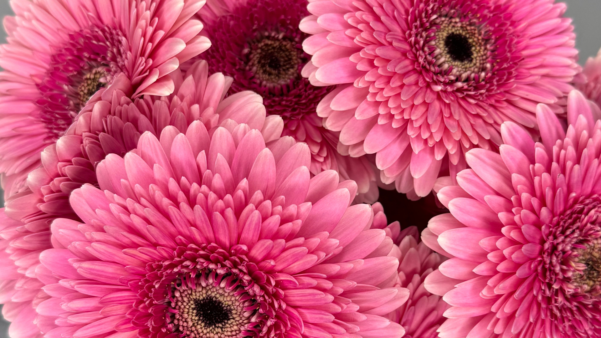 Bloemen beschikbaarheid bij Van der Vijver