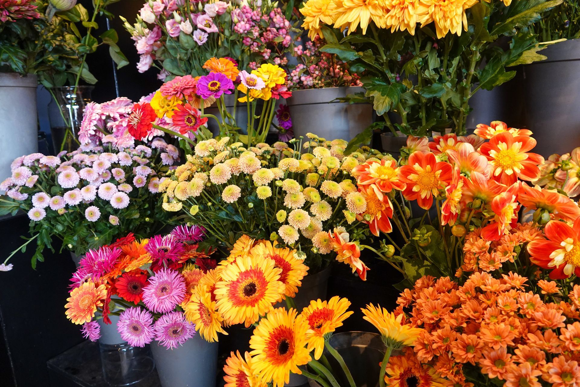 Evenementen bij Bloemengroothandel van der Vijver