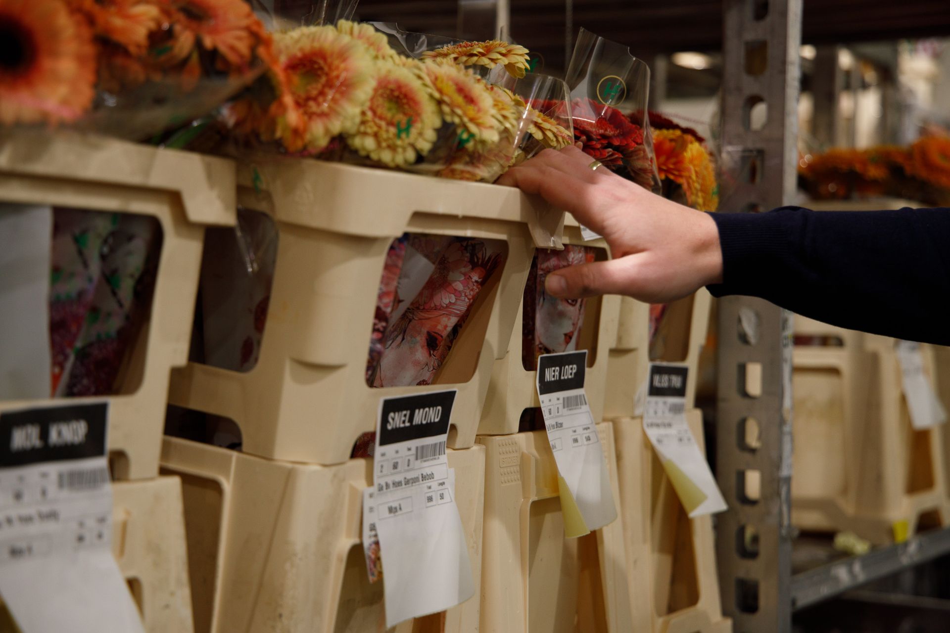 orderpickers bij van der vijver