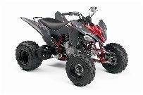 Raptor 250