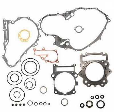 Pakkingset Raptor 700 06-12