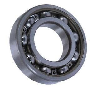 Krukaslager Raptor 660 01-05