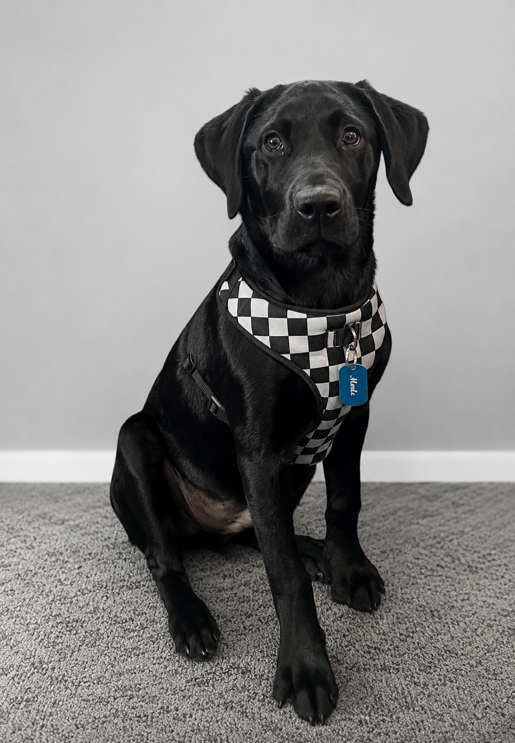 Staff Photo