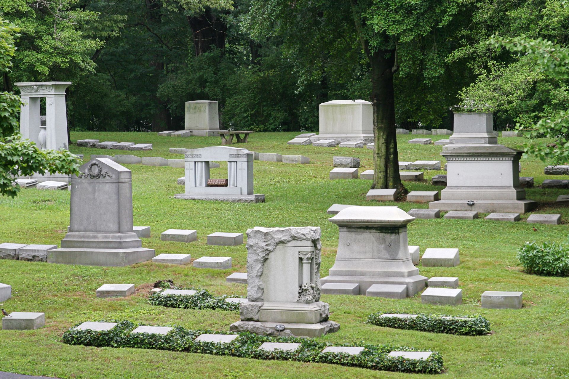 A variety of stone headstones and monuments scattered across a green, tree-filled cemetery lawn.