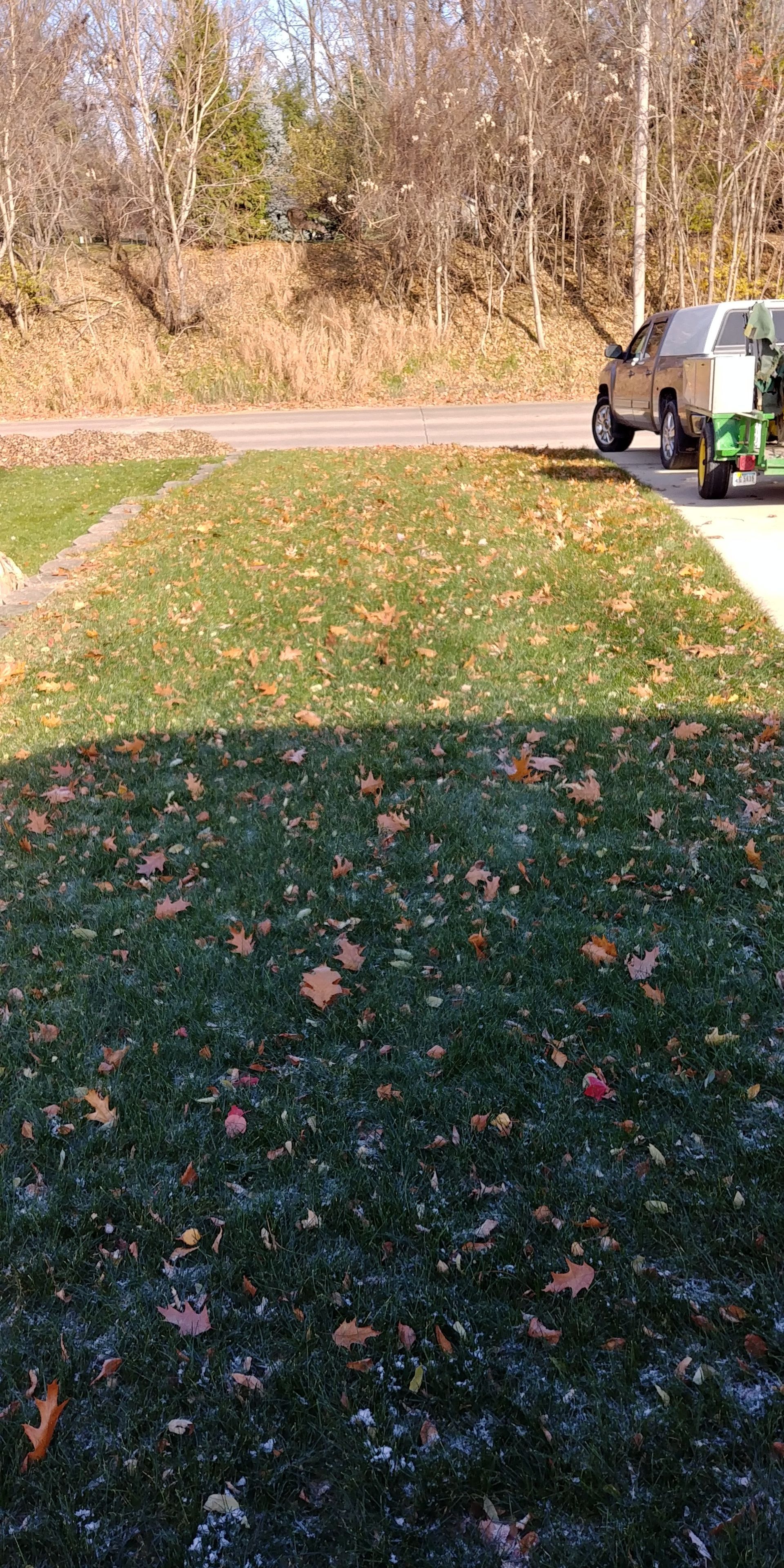 Fall Leaves — Cedar Rapids, IA — Andy’s Lawn Care