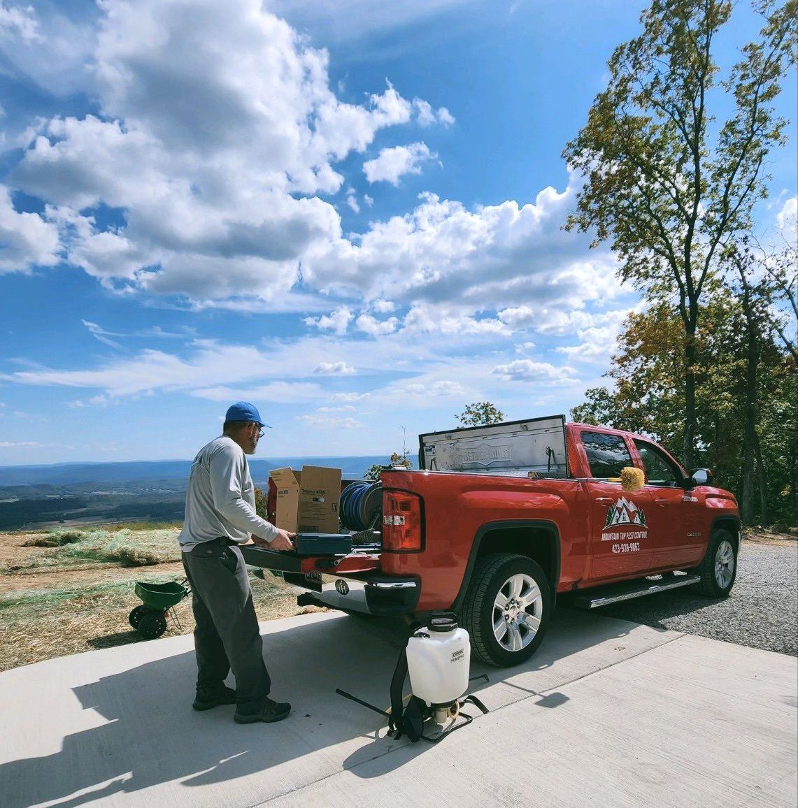 Mountain top pest control services at home