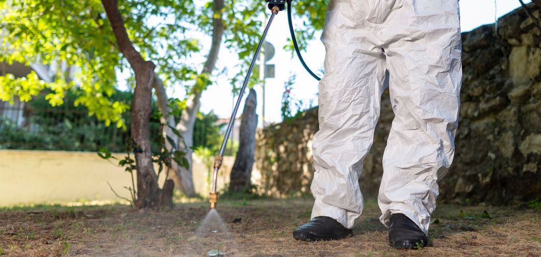 exterminator spraying backyard ground