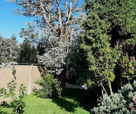 JARDINES MARLID