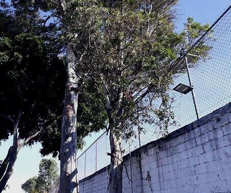 JARDINES MARLID