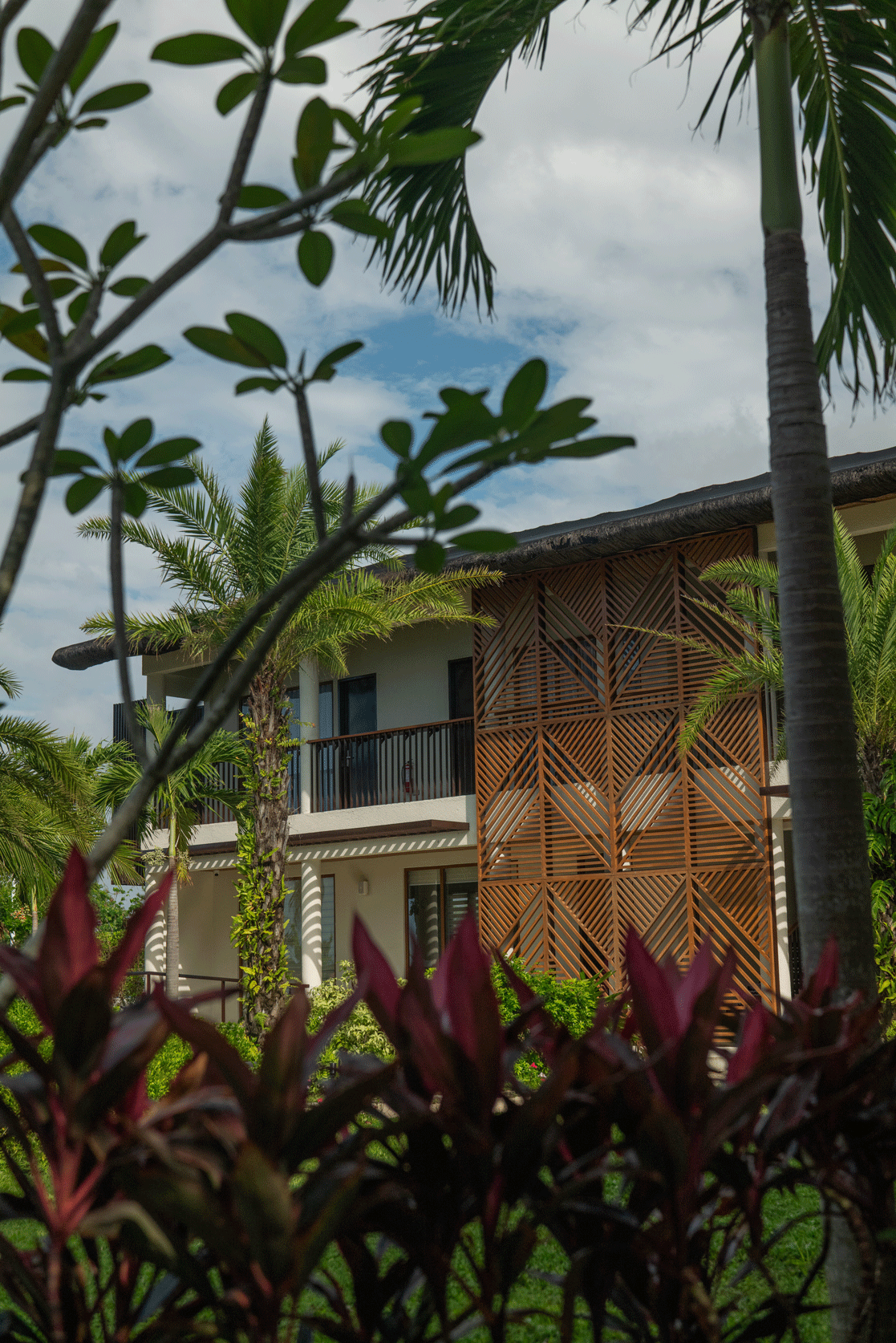 Tropical garden with palm trees and a modern building behind red-leaf plants