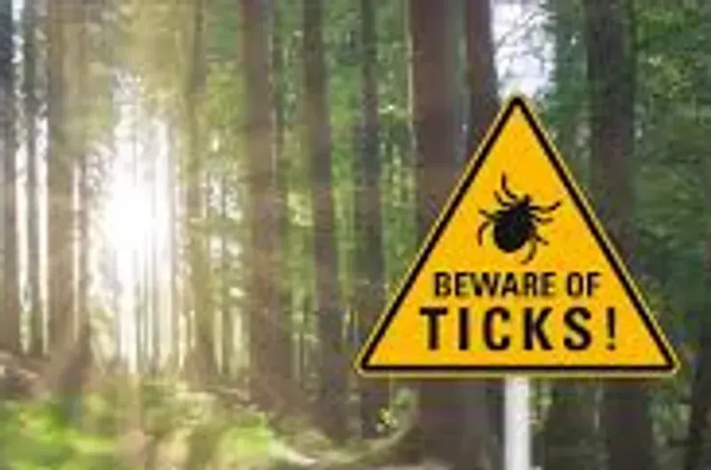 infrared sauna for treating Lyme disease, infrared helps reduce muscle pain and fatigue, and reduces herxing