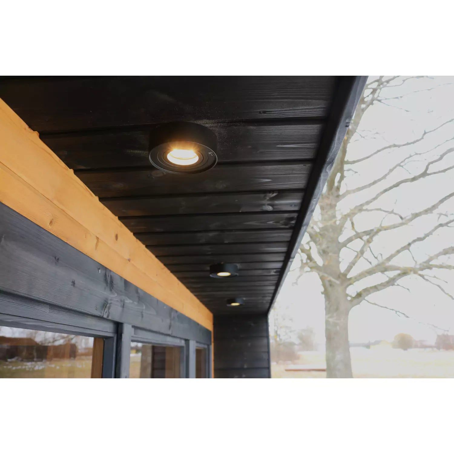 Black wooden eaves with recessed lights above a storefront, beside a leafless tree in winter.