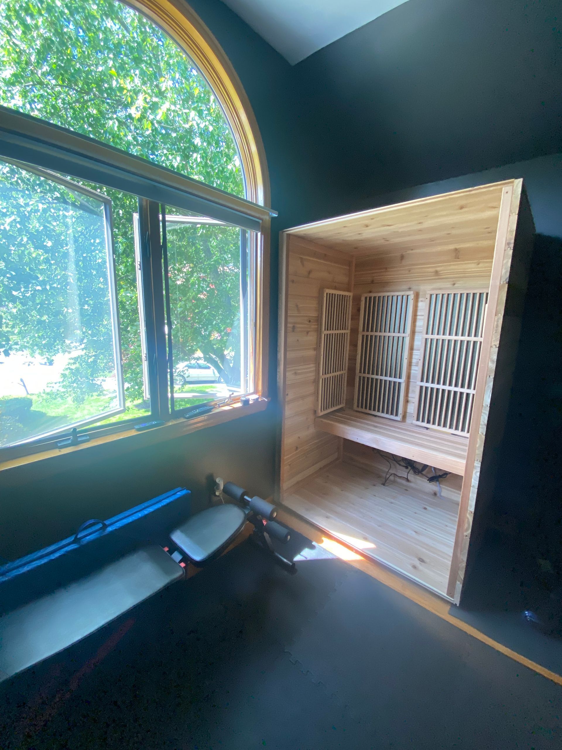Wood-paneled sauna with bench seating, dark walls, and a large window overlooking trees.