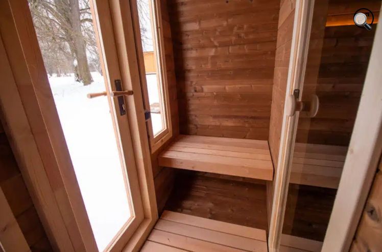Wooden sauna interior with benches, glass door open to snow outside.