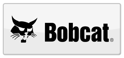 Bobcat