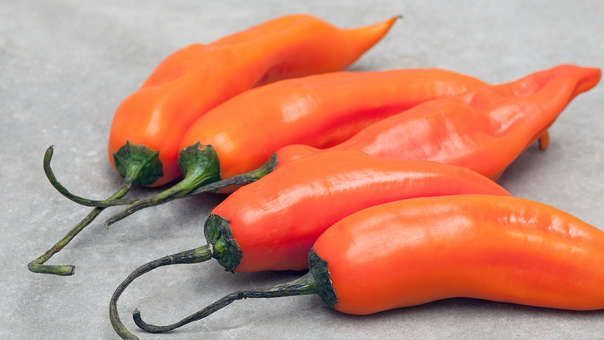 aji amarillo