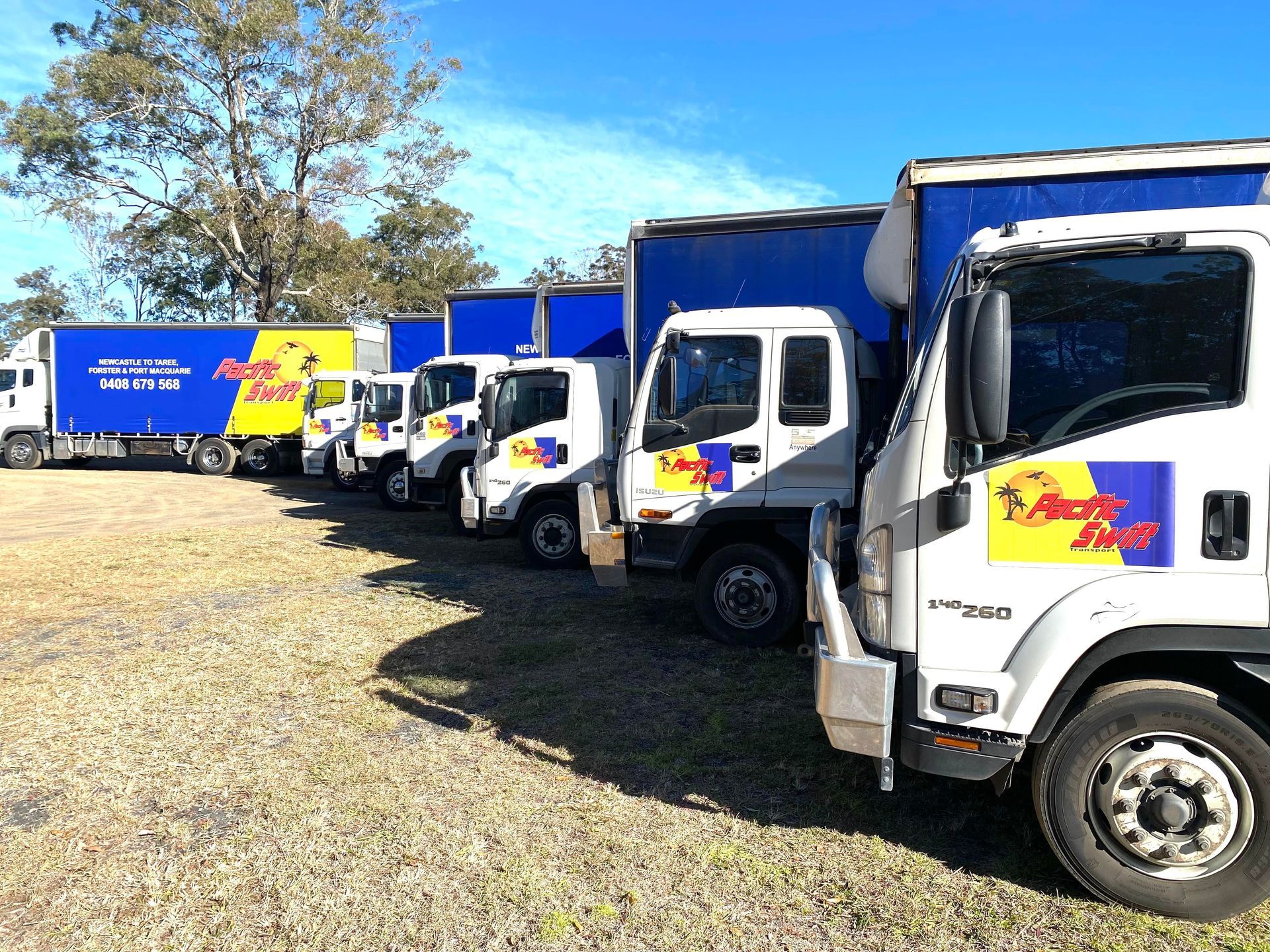 Row Of Company Transport Trucks — Professional Transport in Taree South NSW