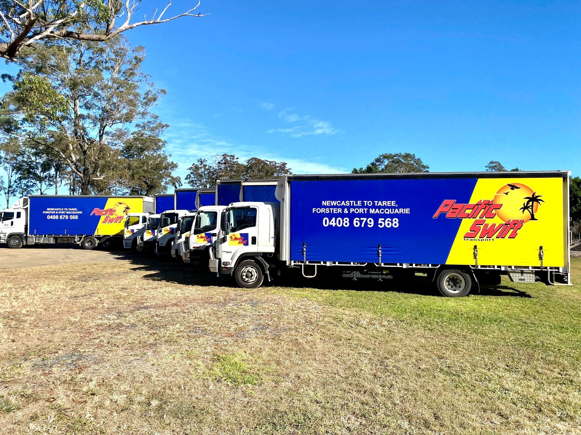 Large Transport Truck Blue And Yellow — Professional Transport in Forster, NSW