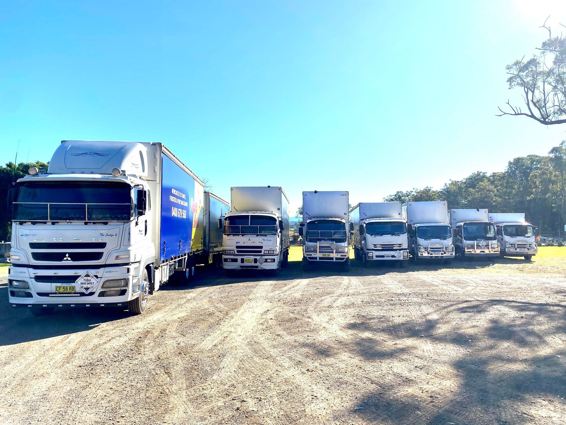 Row Of Transport Trucks — Professional Transport in Forster, NSW