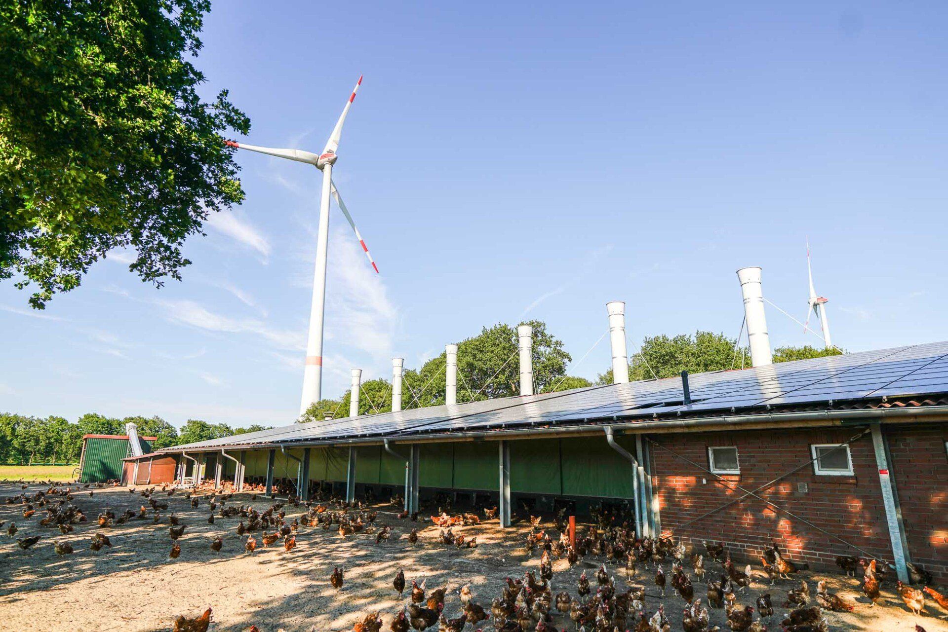 Geflügelhof Meiners, Familienbetrieb