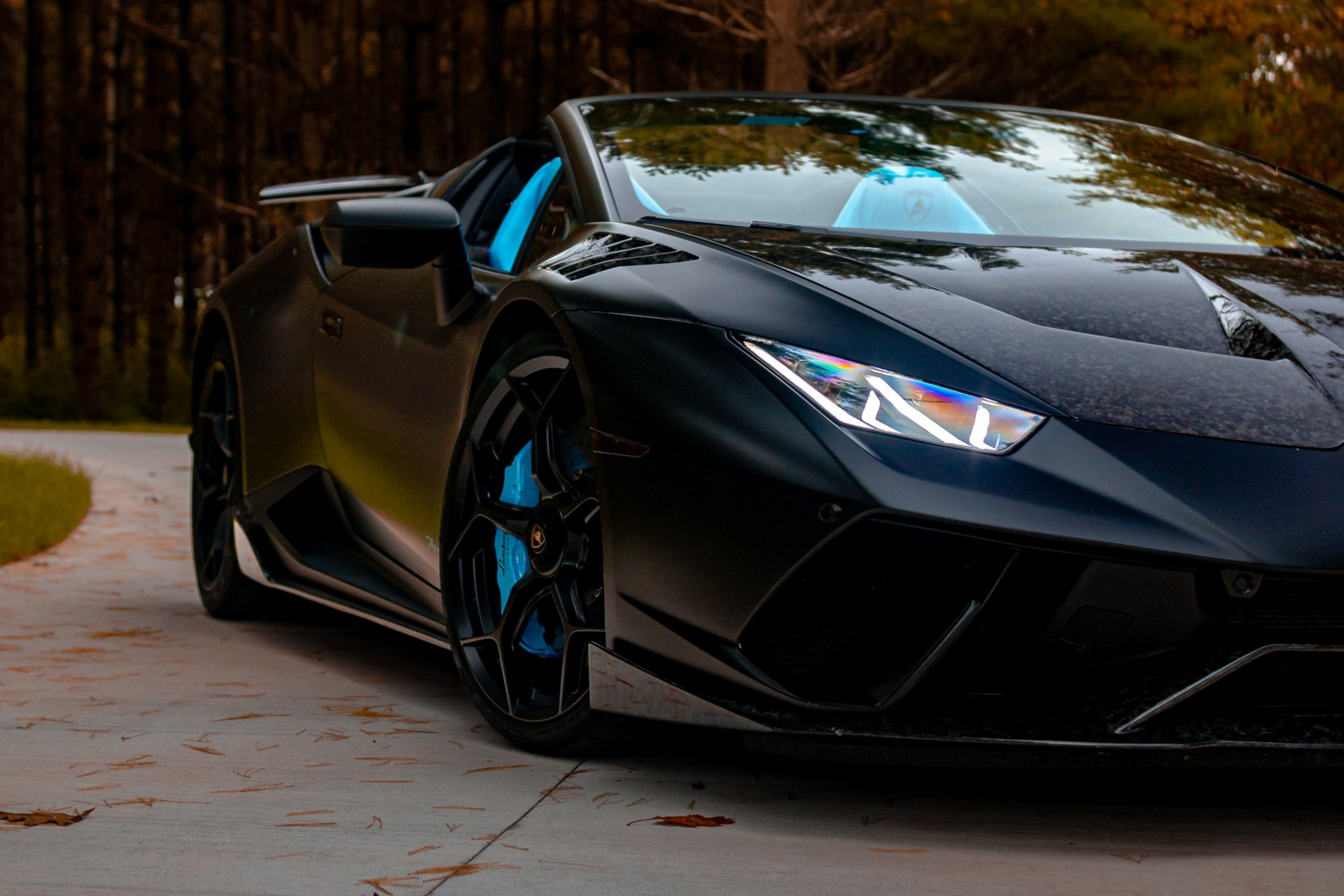 Black Lamborghini sports car parked on a concrete driveway in front of fall trees; blue accents.