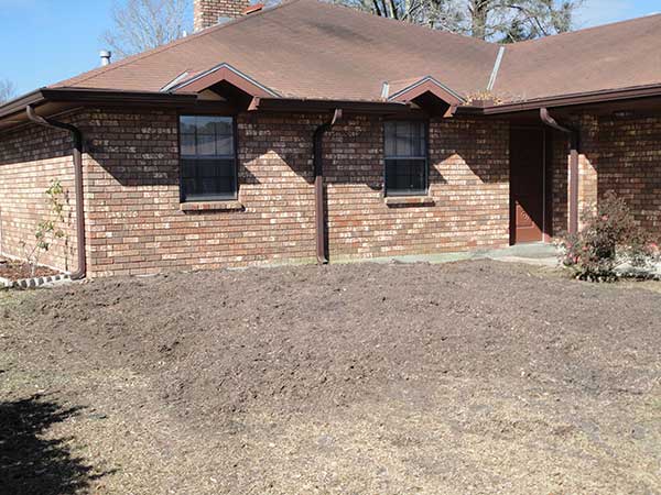 Backyard After Removing The Tree — Kenner, LA — All Seasons Tree Service