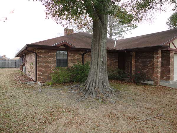 Backyard Before Removing The Tree — Kenner, LA — All Seasons Tree Service