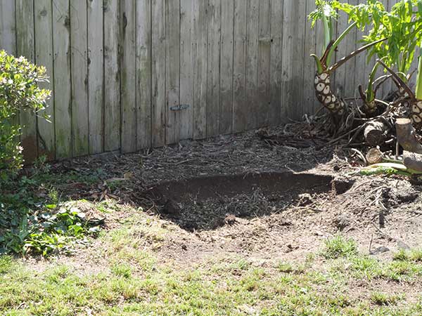 Backyard After Stumping The Tree — Kenner, LA — All Seasons Tree Service