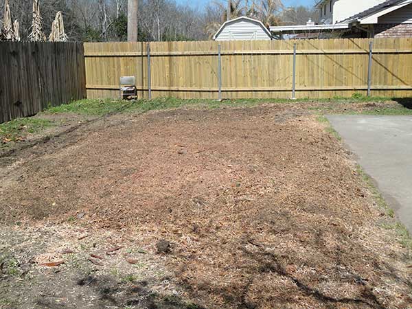 Front View Of After Stumping Tree — Kenner, LA — All Seasons Tree Service