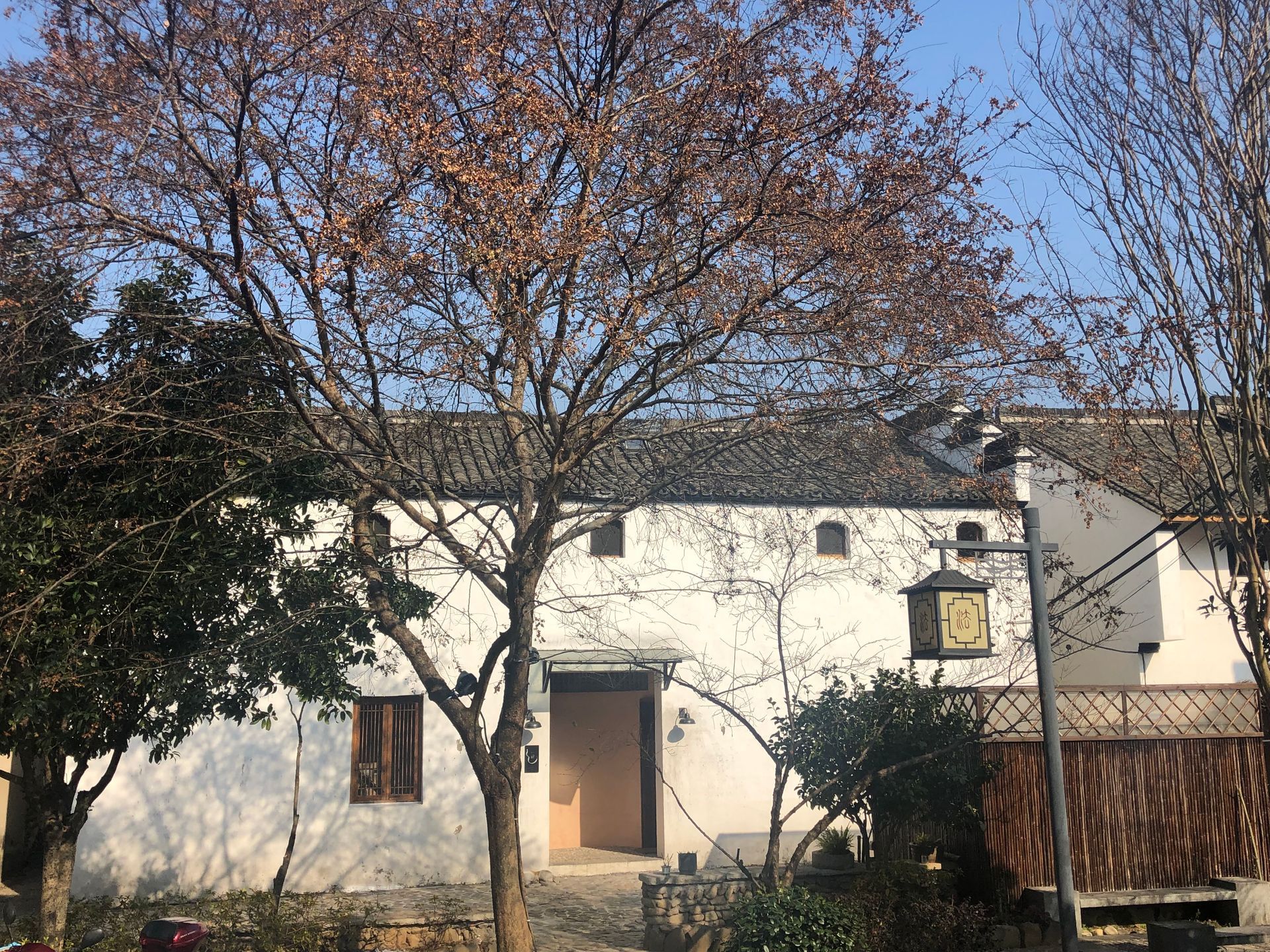 White house with brown door behind leafless trees and shrubs in a yard under a clear blue sky