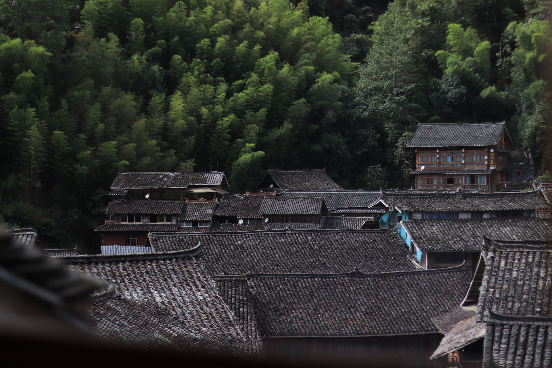 Traditional tiled rooftops of a village nestled before a dense green forest
