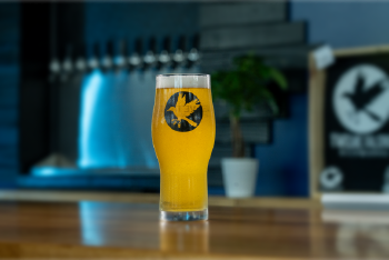 Pint Glass
