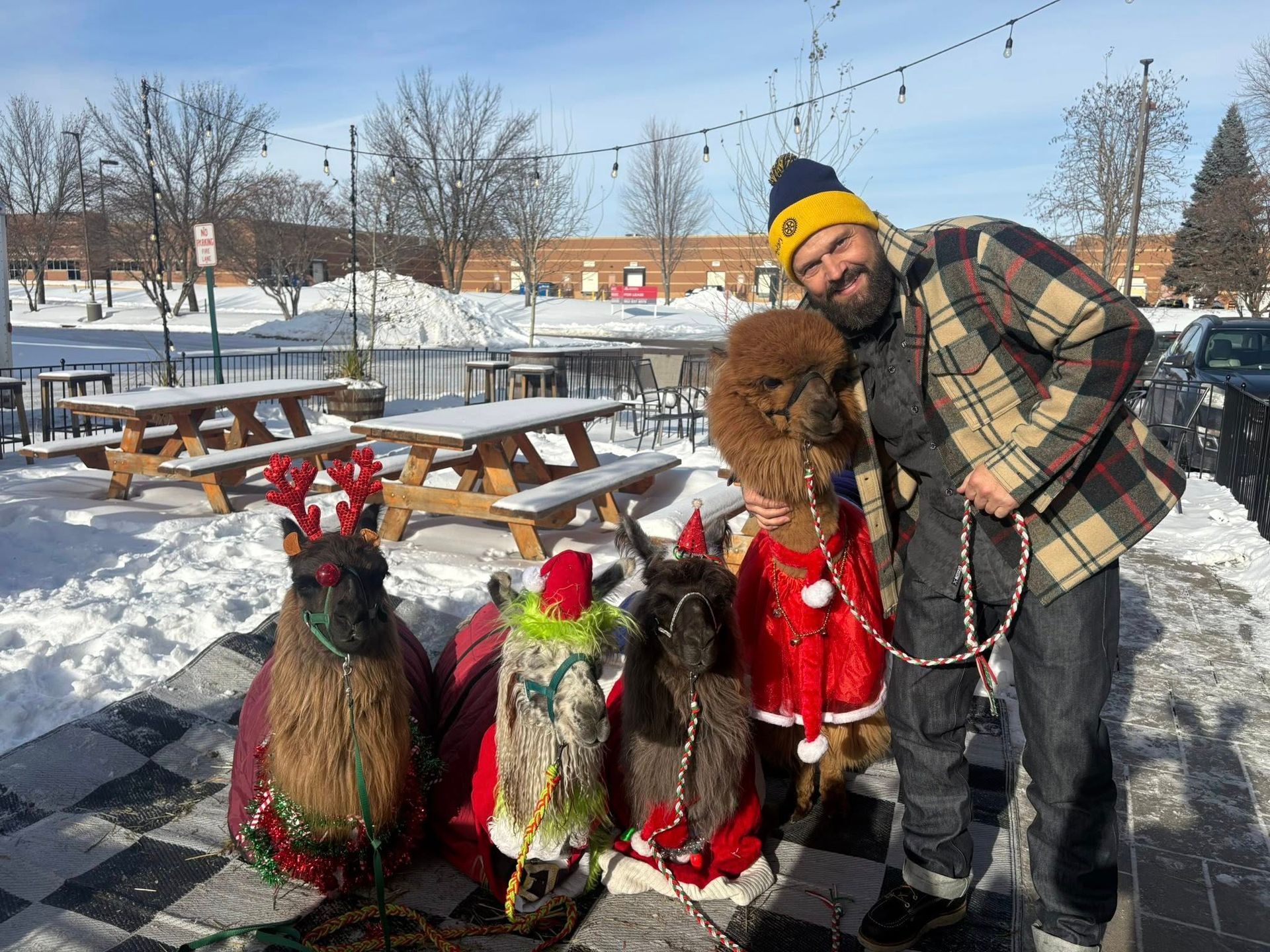 Man posing with four goats in festive outfits on a snowy outdoor patio with picnic tables.
