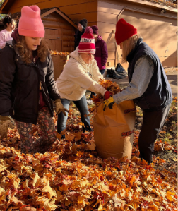 People filling a large bag with autumn leaves outdoors near a wooden shed.