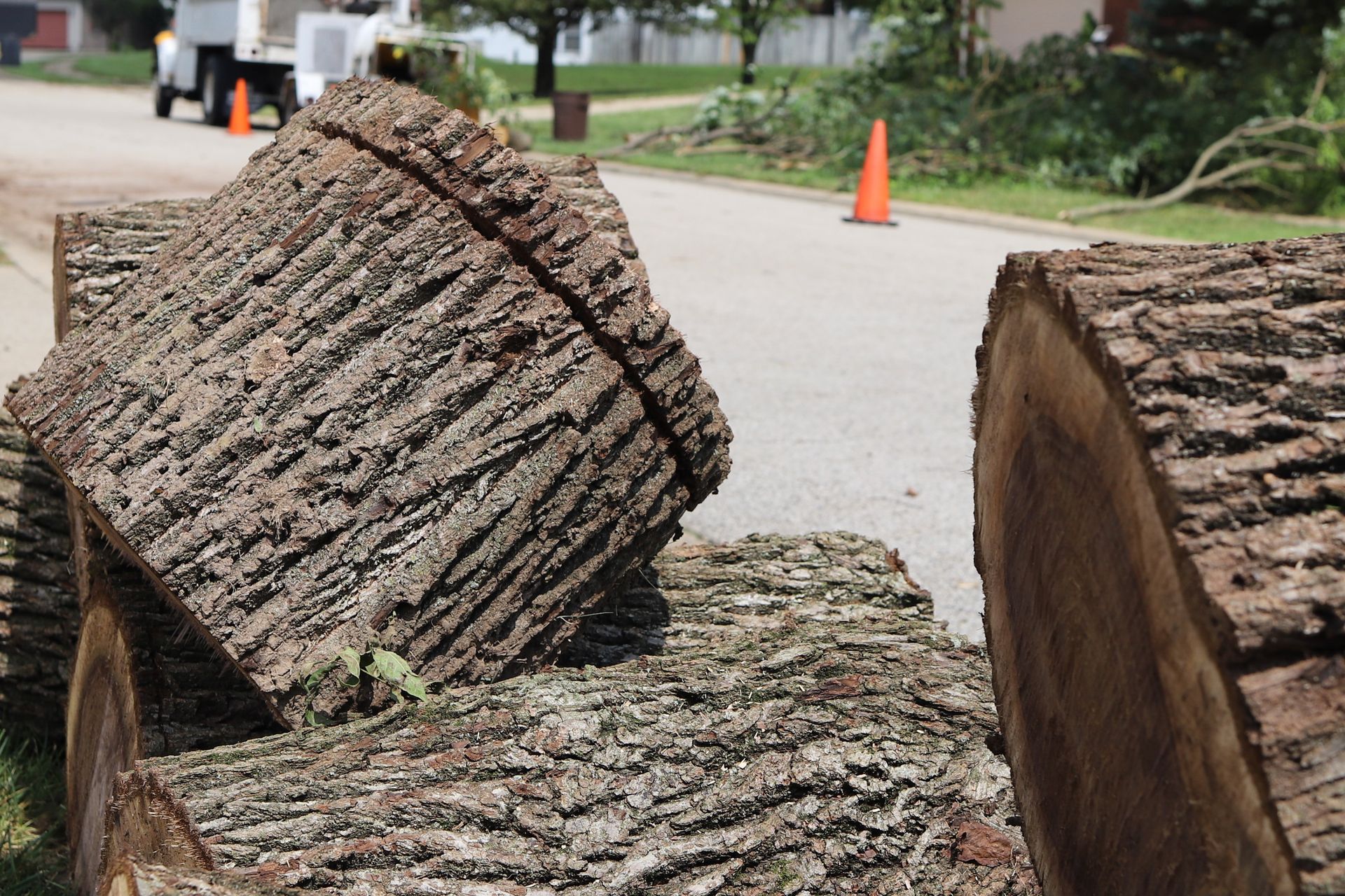 A pile of logs sitting on the side of a road